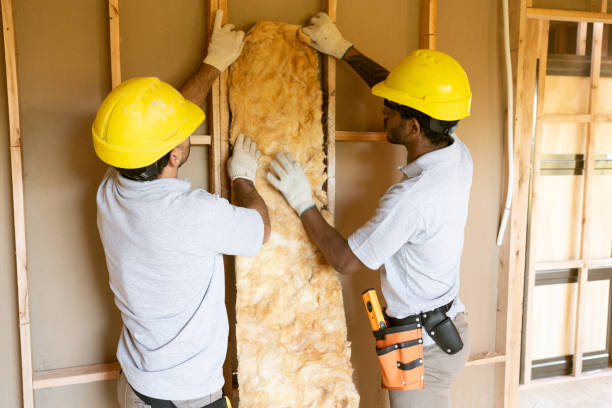 Best Eco-Friendly Insulation Solutions  in Richmond, KY